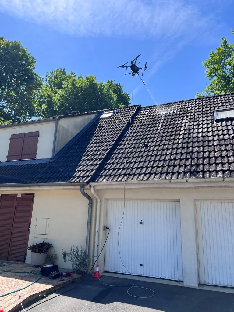 nettoyage toiture Dammary les lys