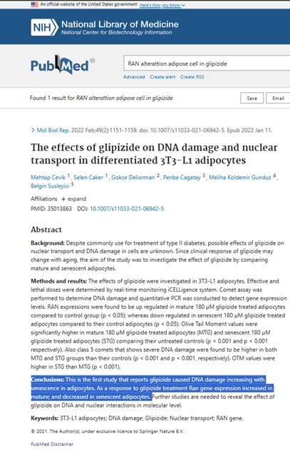 glipizide can damage DNA in adipose cells