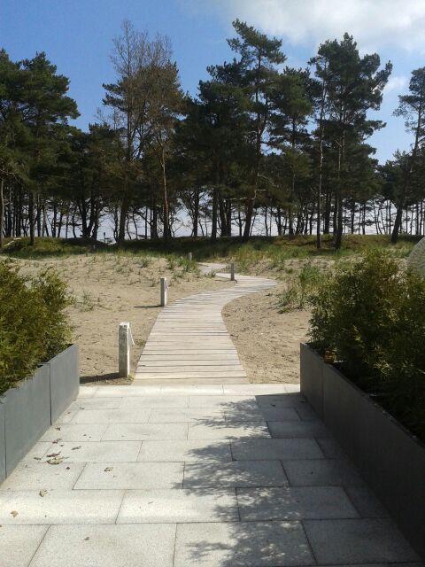 der weg von hausausgang zu strand. holzdielen führen durch die dünenlandschaft zum kiefernwäldchen