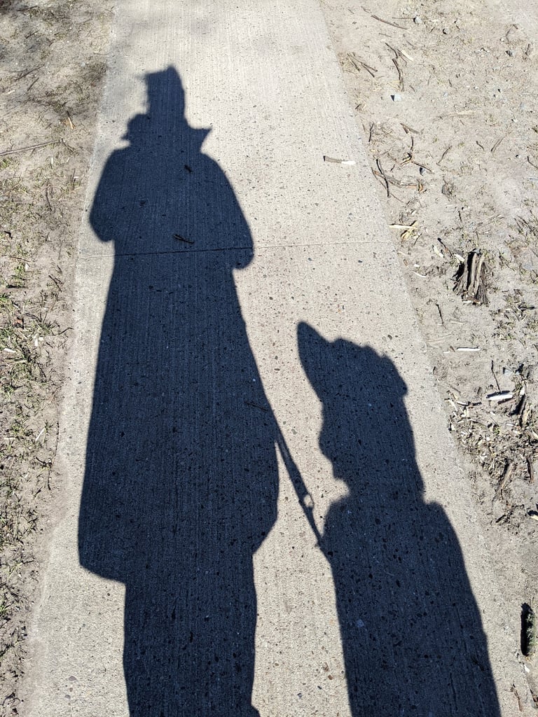 Mensch und Hund in Kommunikation