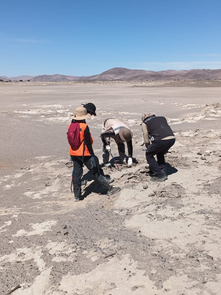 Ciencia aplicada al territorio