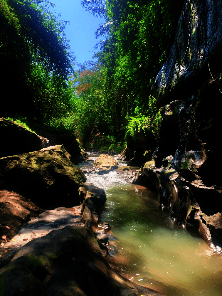 Bali Hidden Canyon
