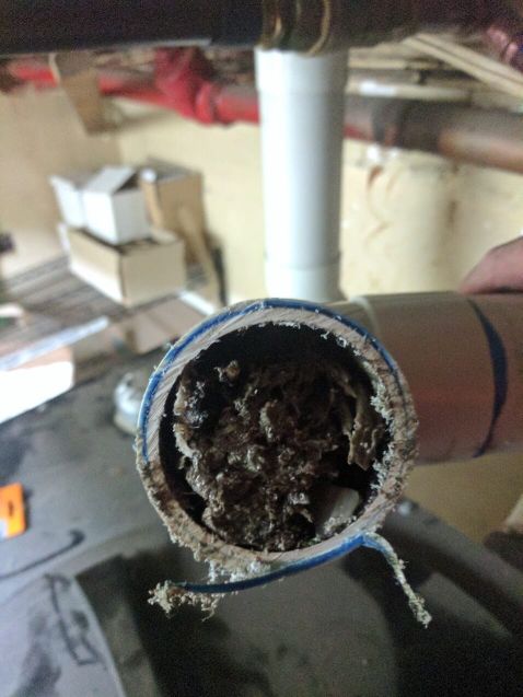 Blocked drain in Mt Eliza