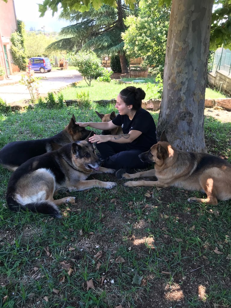Fabrizia Ceccacci - addestramento cani comando terra