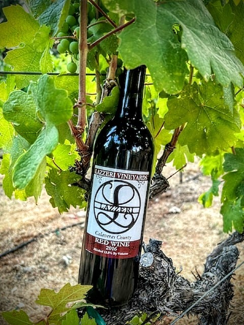 A wine bottle with the brand name Lazzeri Vineyards in front of green leaves
