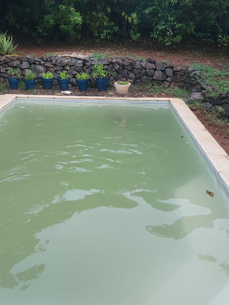 piscine-sale-boue