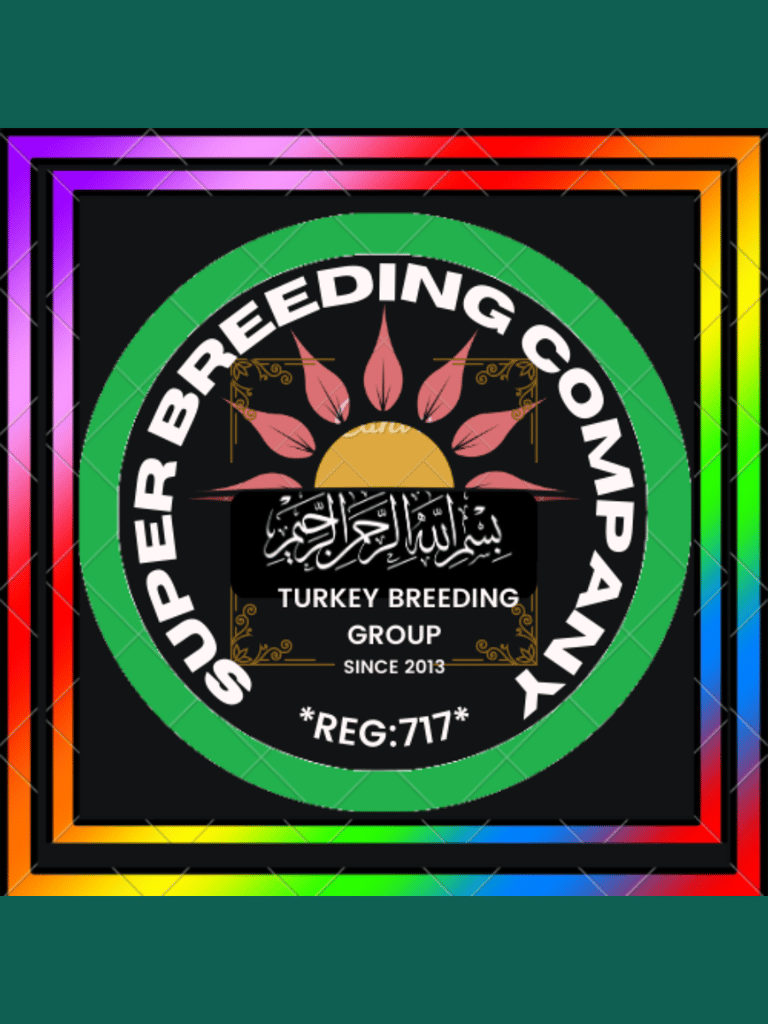a colorful picture of a turkey bird feedering a turkey