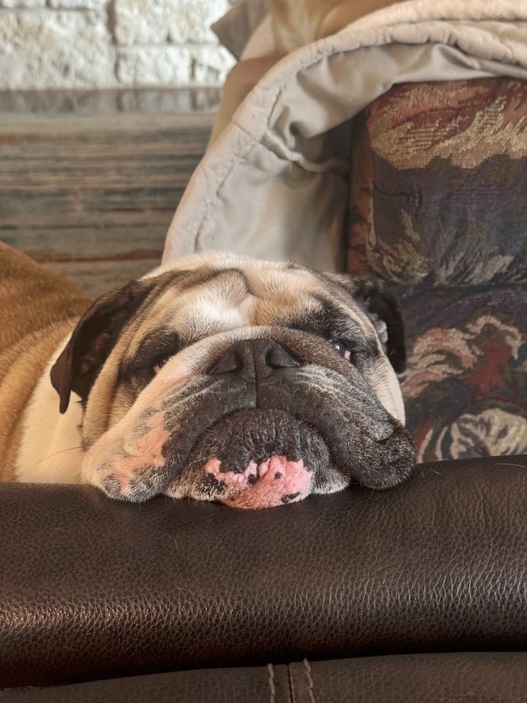 Buddy - A tough day cleaning pools!