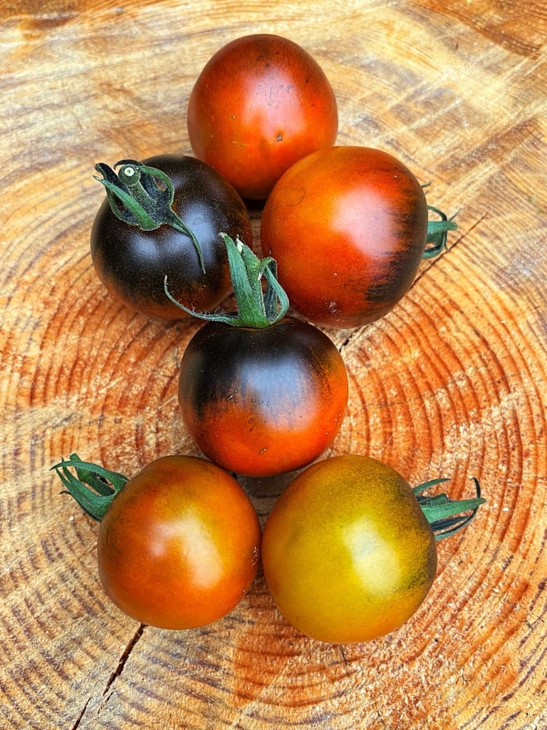 COPPER OLIVE TOMATO - Clusters of small, round tomatoes with coppery-brown skin and olive-green 