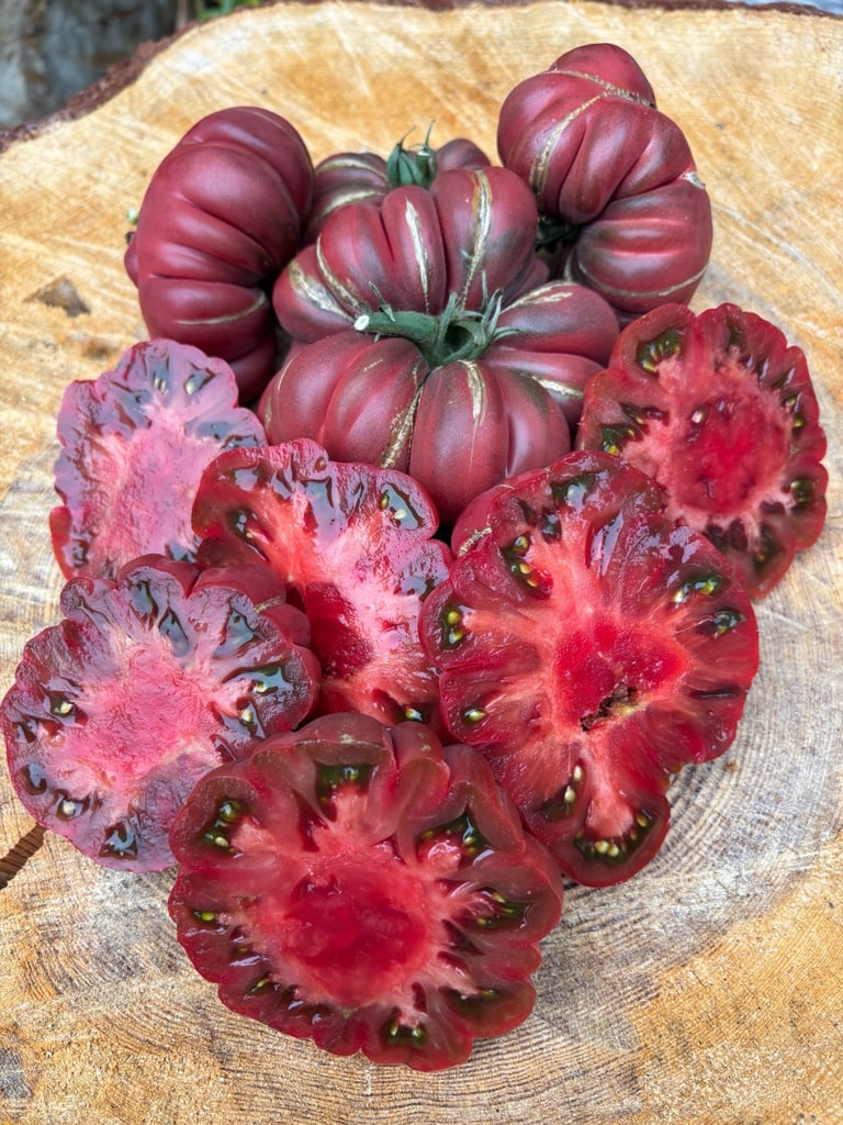 ZAPOTEC BROWN FLESH - Rare Mexican Heirloom 