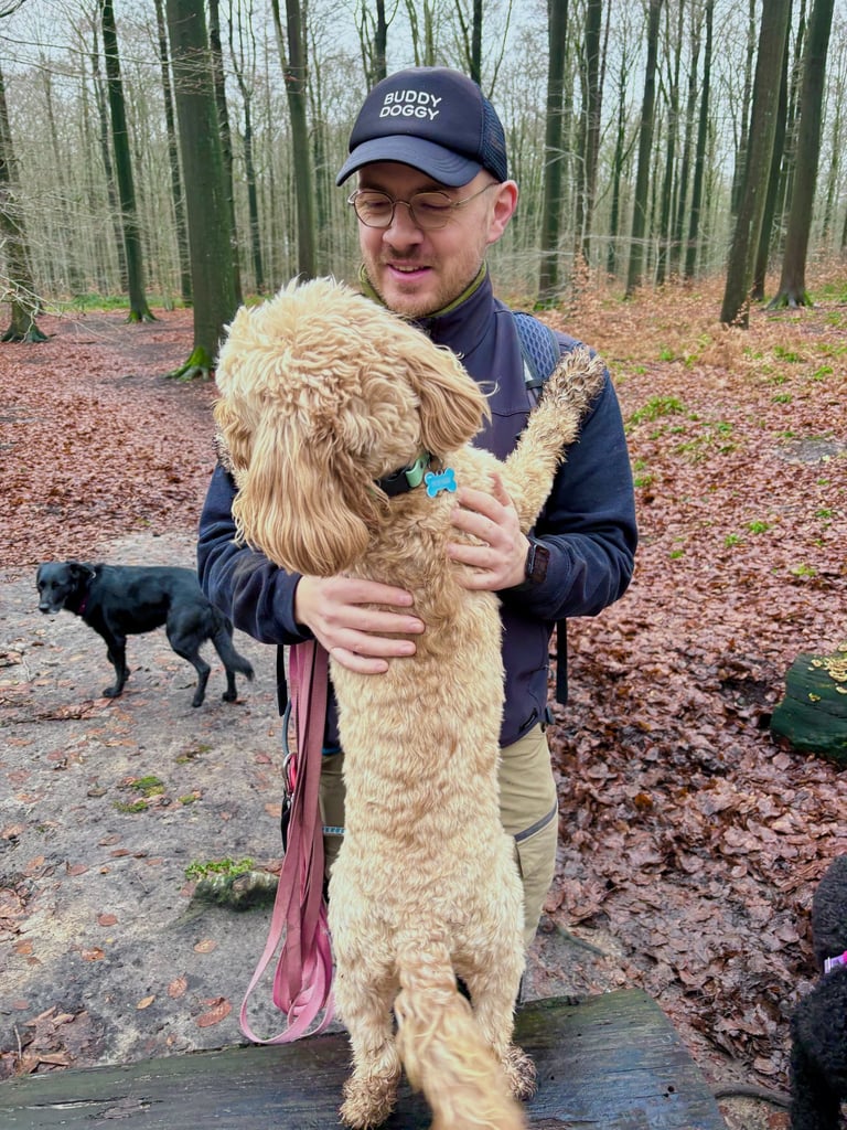 buddy doggy dog walking dog sitting Brussels
