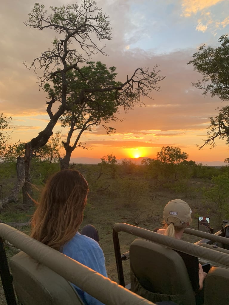 Guests on safari in South Africa at sunset, watching wildlife on golden plains.