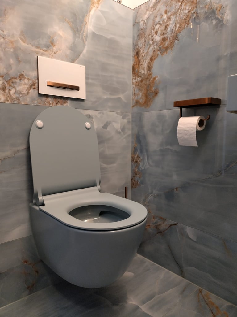 a toilet with a toilet paper roll holder