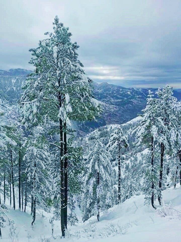 snowy mountain slope at Nathiagali 