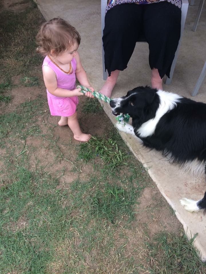 Children Playing with Dog 
