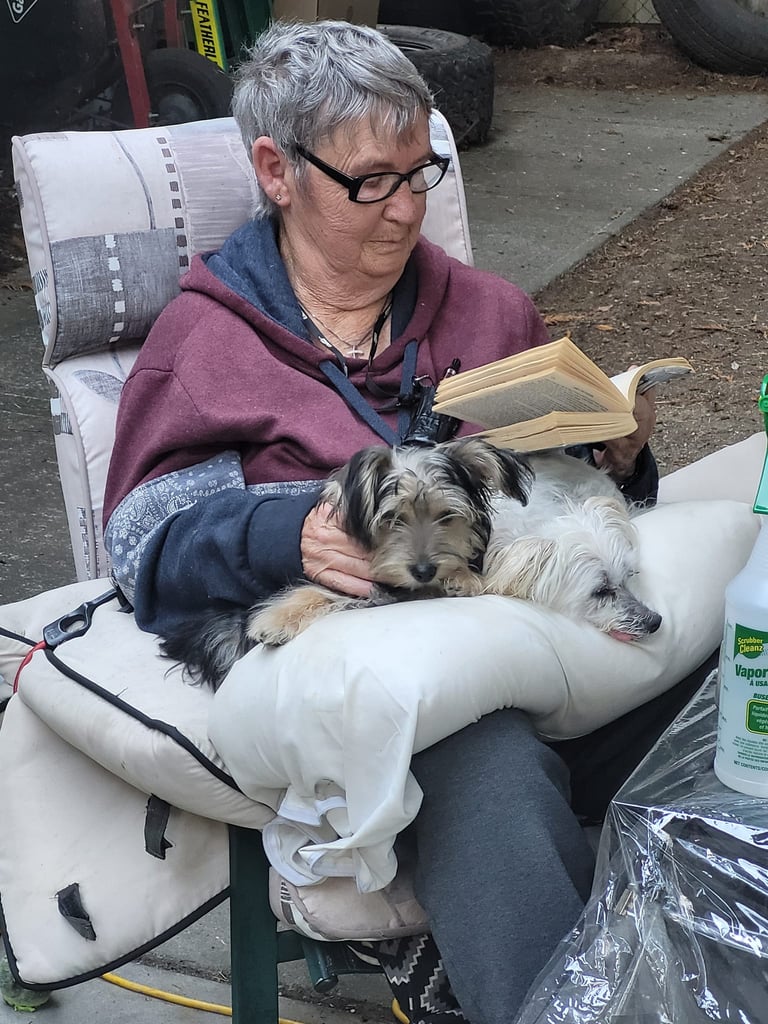 As a retiree my life is all about dogs and providing the best dog care boarding experience. 