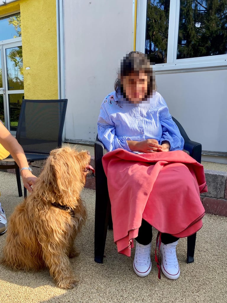 chien en médiation animale auprès d'une personne handicapée