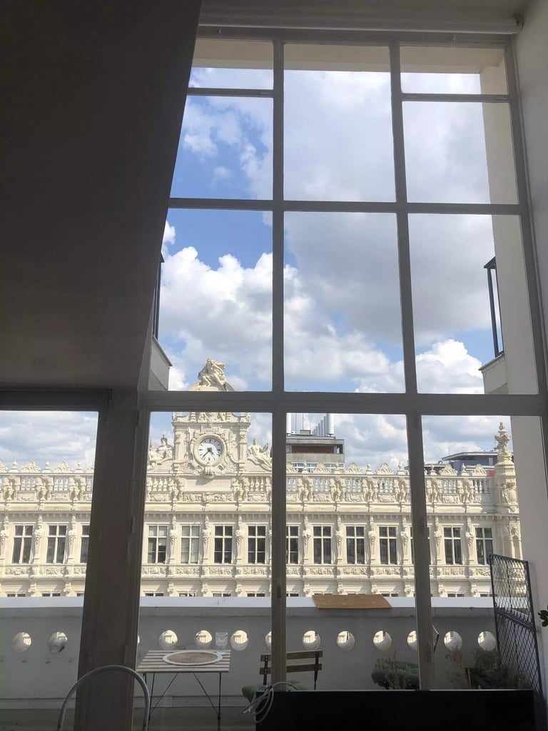 baies vitrées grande taille nettoyées