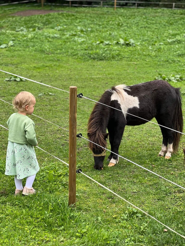 Mergaitė susipažįsta su poniu Ugdymosi erdvėje ,,Ąžuolynas"