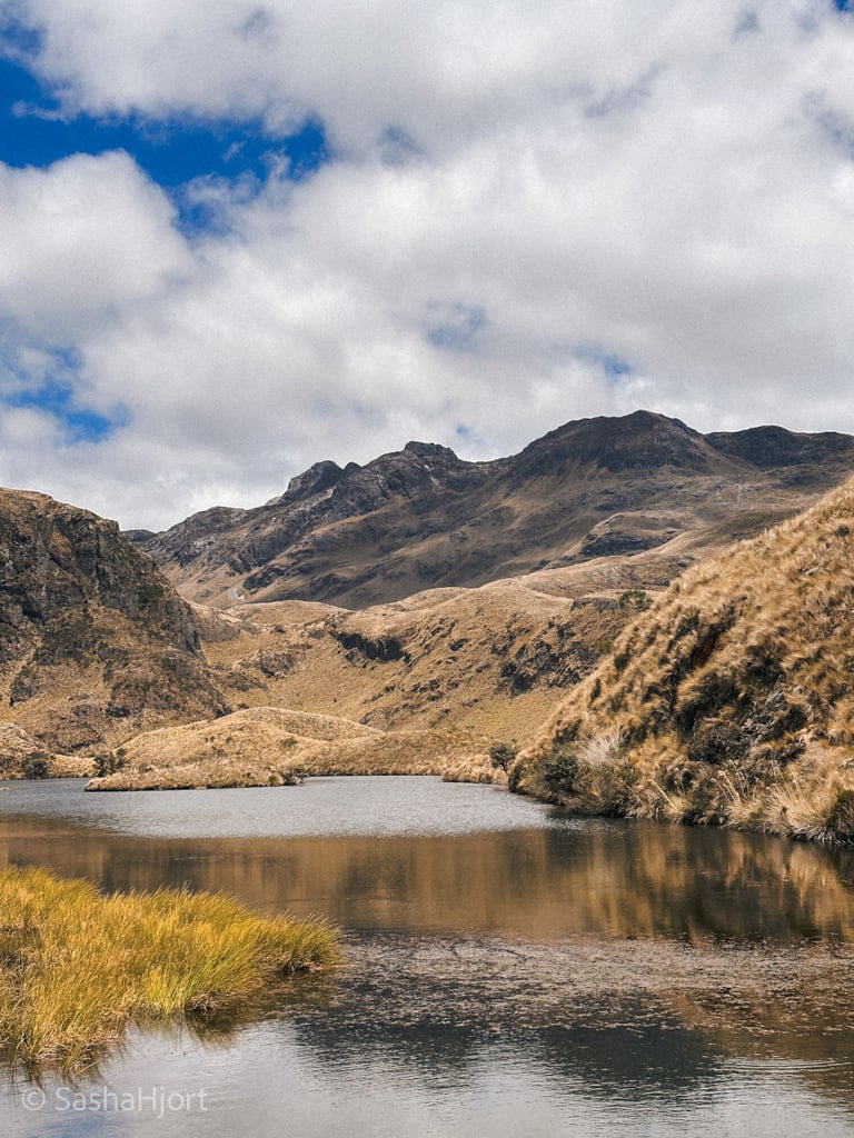 Cajas National Park, Ecuador, South America