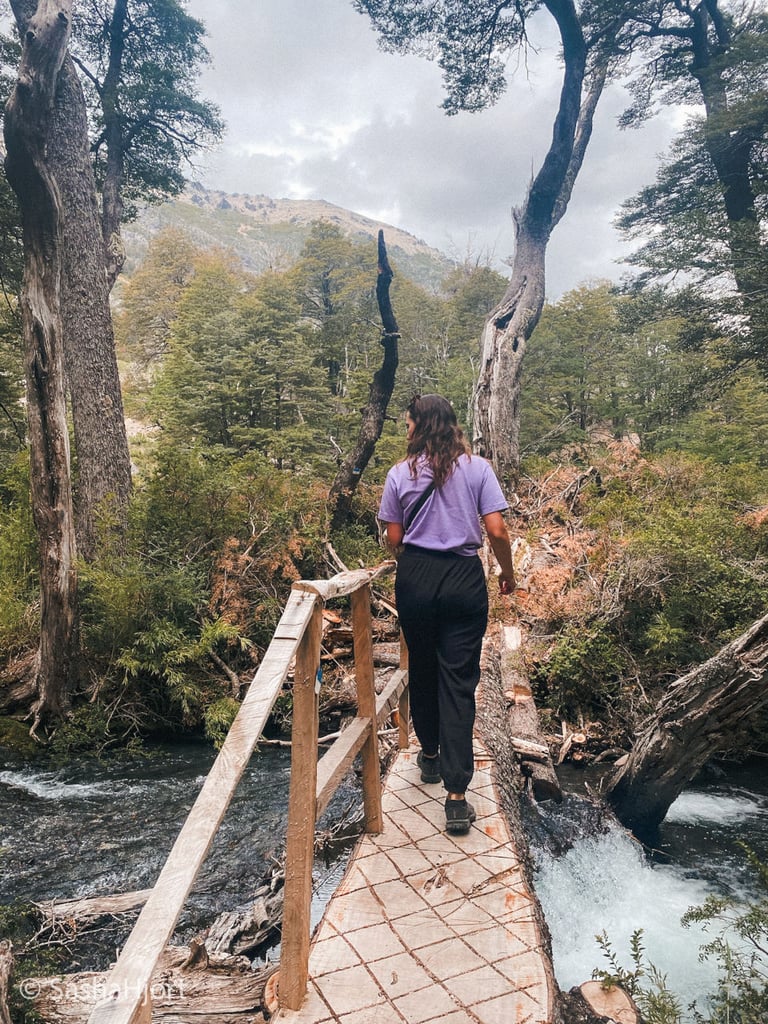 Lanín National Park hike, San Martin de los Andes, Argentina, South America