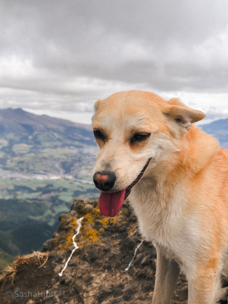 Pasochoa Hike with Secret Garden Hostel, Ecuador, South America