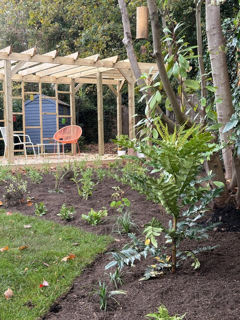 Tranquil yoga garden in South East London with calming planting
