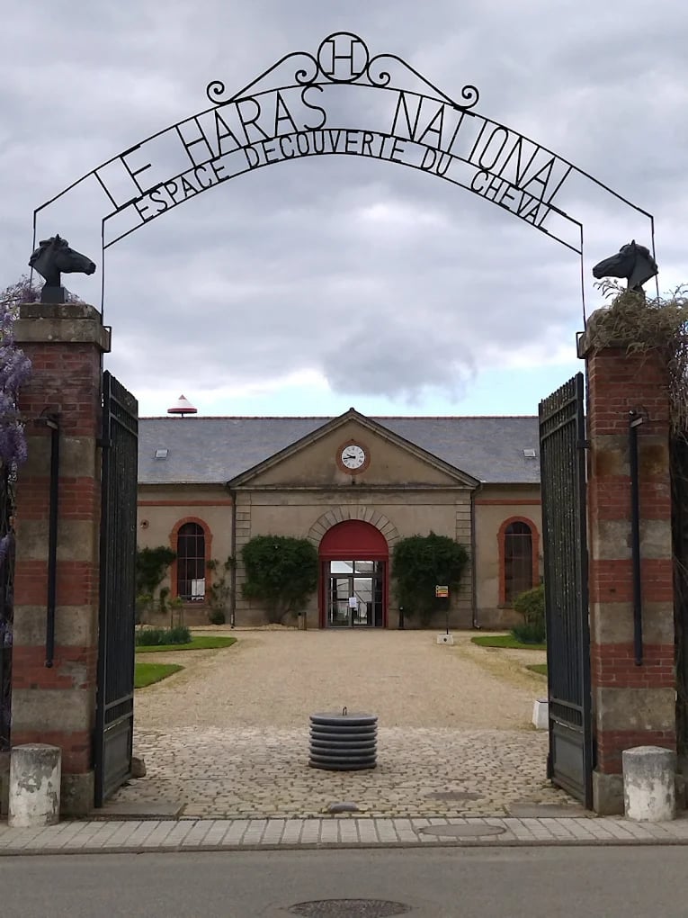 Ty Bayon - Activités pour vos P'tits Loups - Le Haras National d'Hennebont