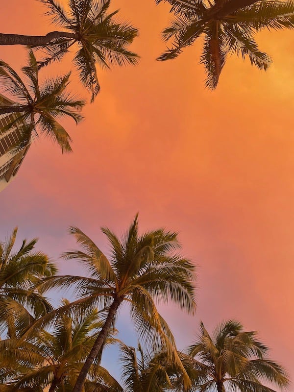 Hawai'i Waikiki O'ahu Sonnenuntergang