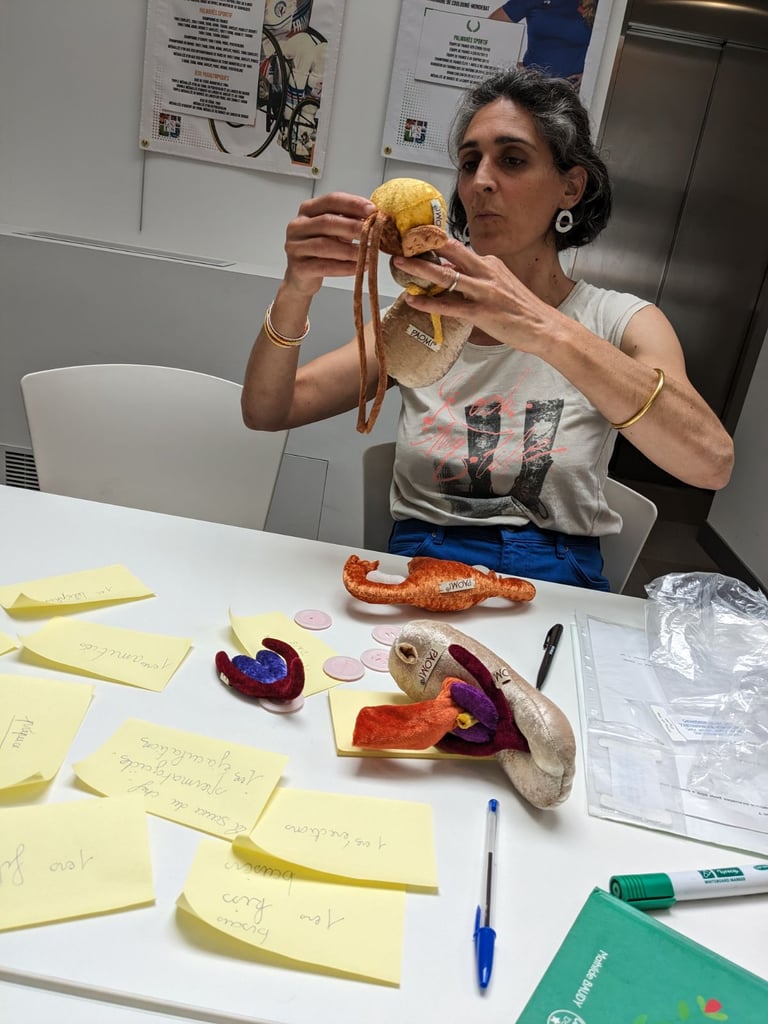 pistil intervention scolaire