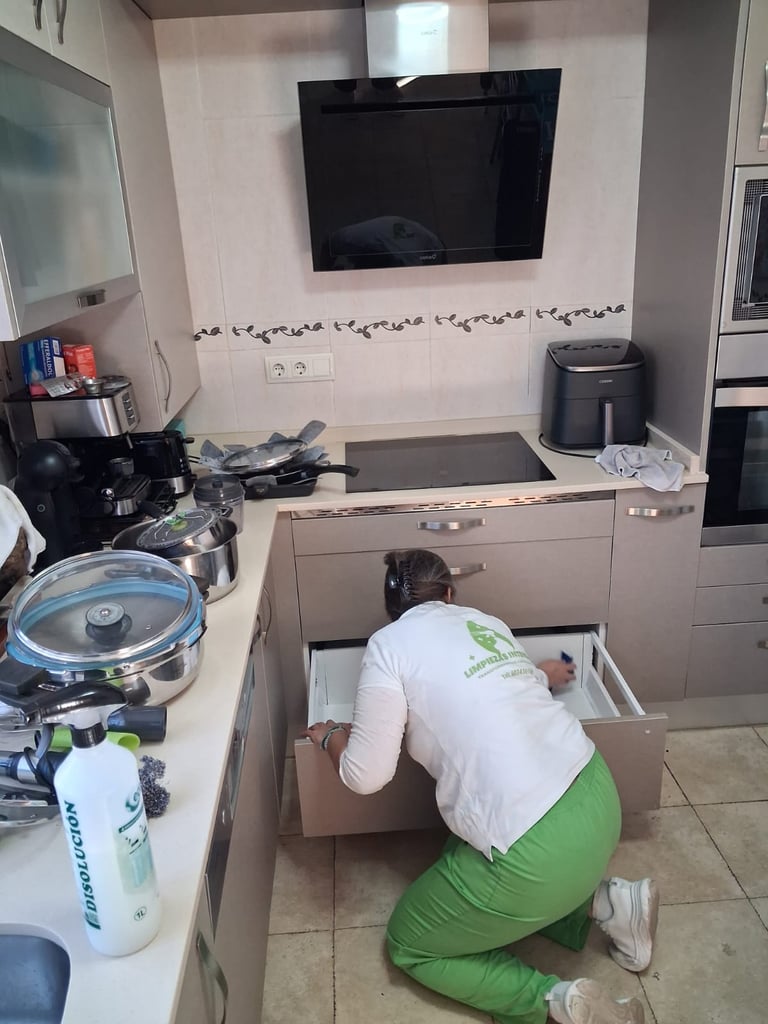 Limpieza profunda profesional en cocina de domicilio particular.