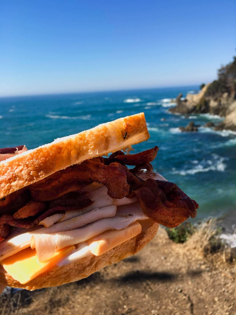 The Perfect Sandwich by the Road in California with the view of the ocean