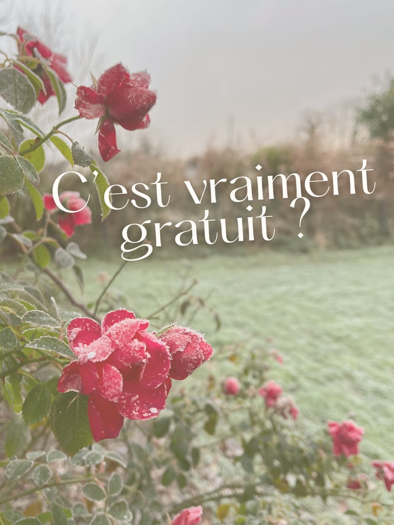 C'est vraiment gratuit? 