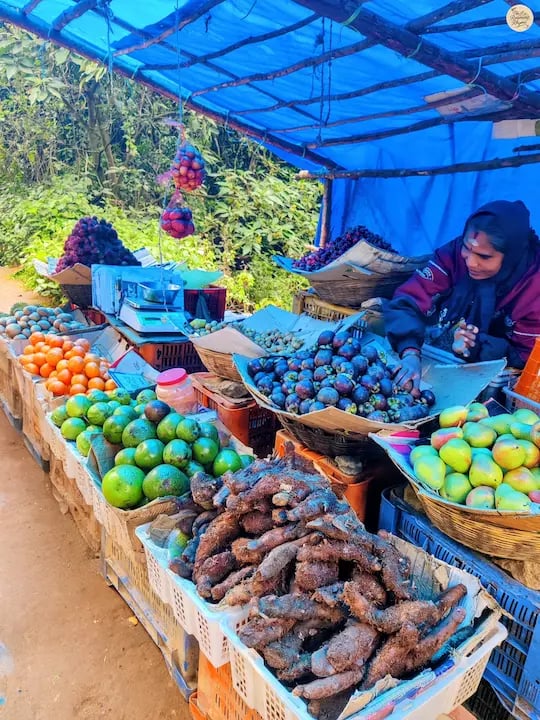 Kodaikanal fruit seller with a colorful display of locally grown exotic fruits.