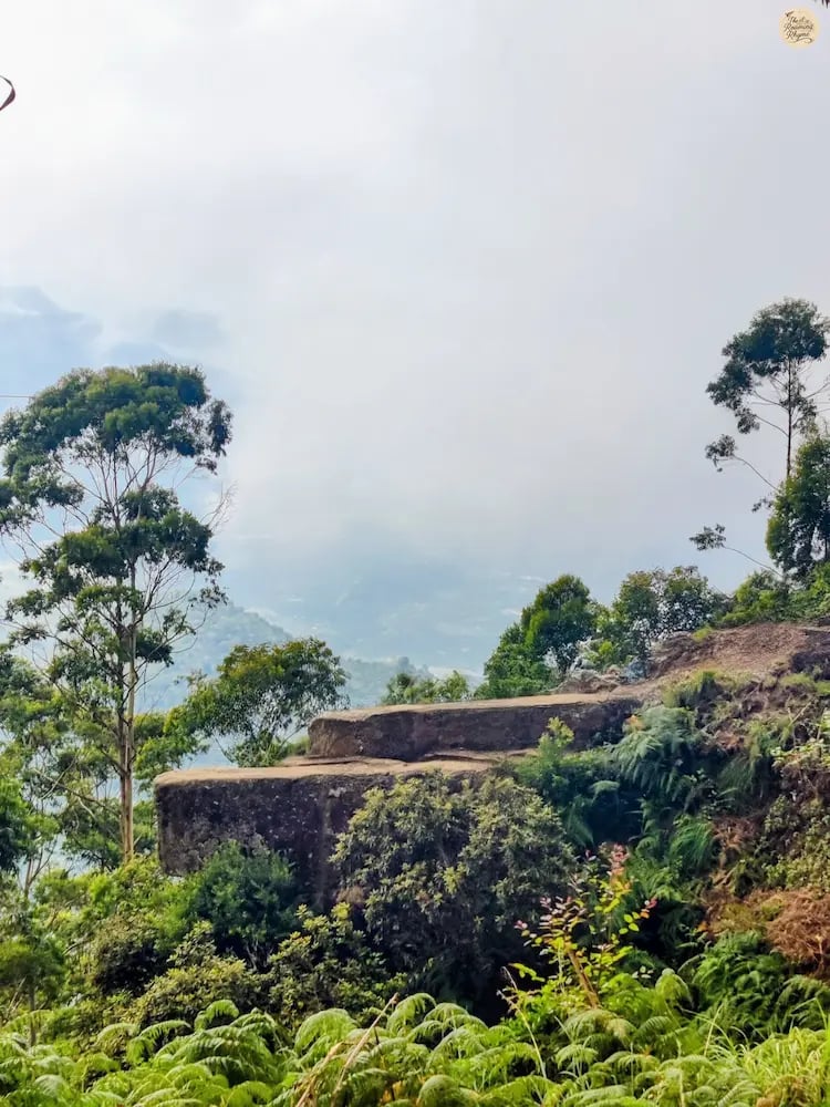 Dolphin-shaped cliffs at Dolphin’s Nose in Kodaikanal with sweeping valley views.