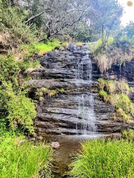 Fairy Falls in Kodaikanal with flowing summer waters.