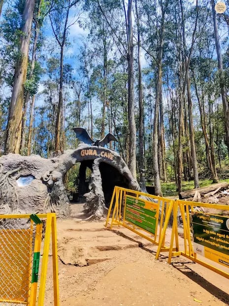 Spooky Guna Cave entry gate in Kodaikanal, surrounded by dense forest.