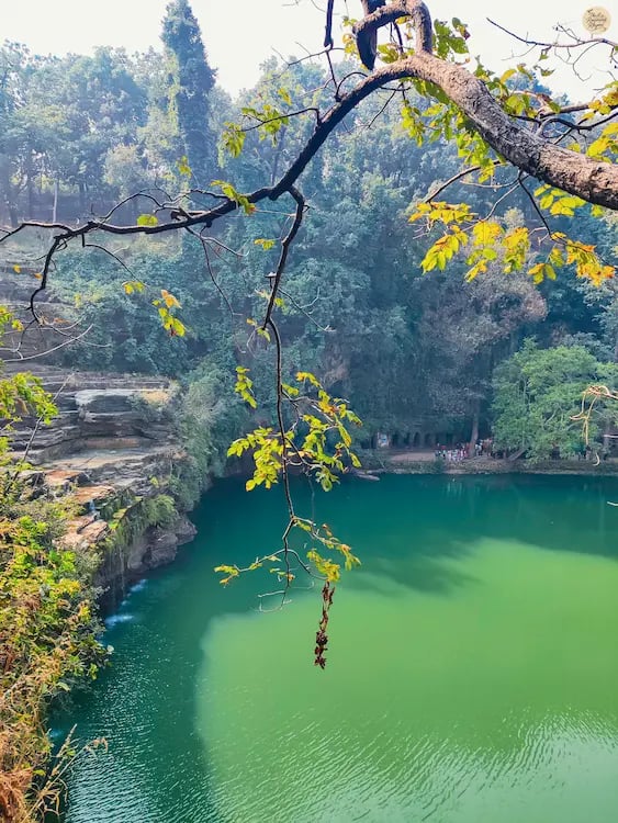 Green pool at the base of Pandav Falls, Panna Tiger Reserve, Madhya Pradesh