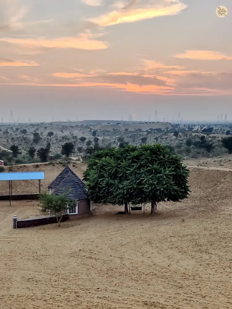 Raisar dunes in Bikaner glowing in the warm hues of sunset.