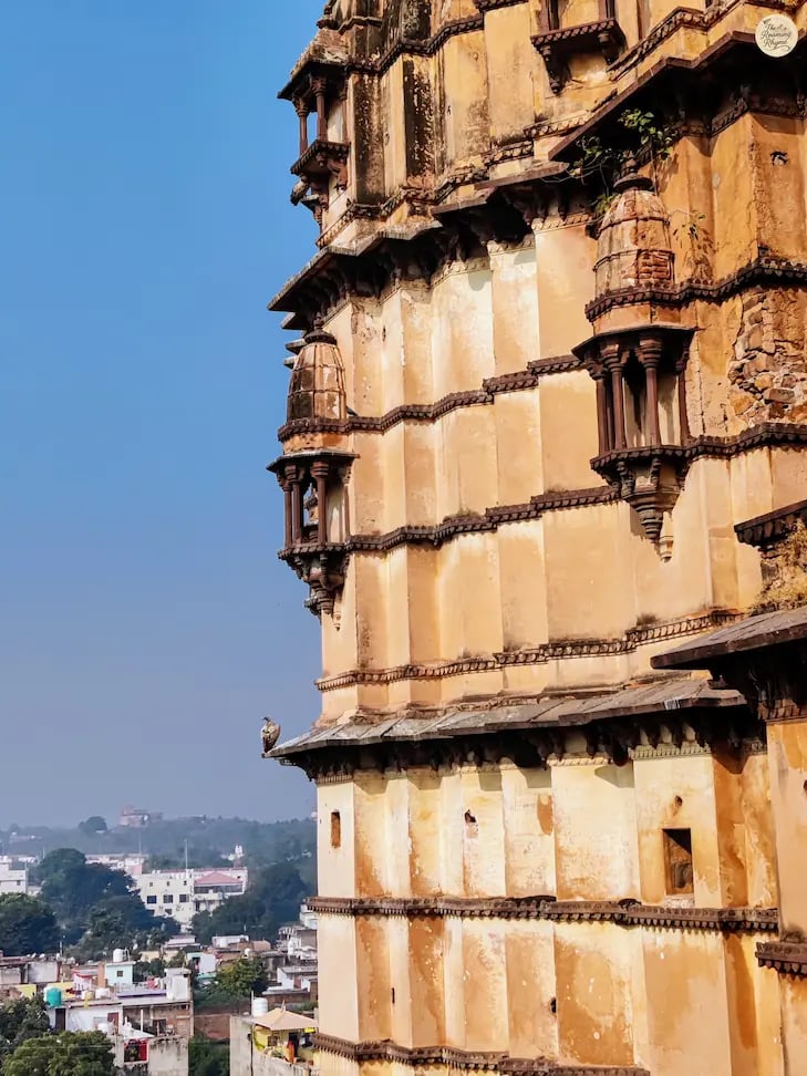 A vulture perched on the spire of a temple in Orchha.