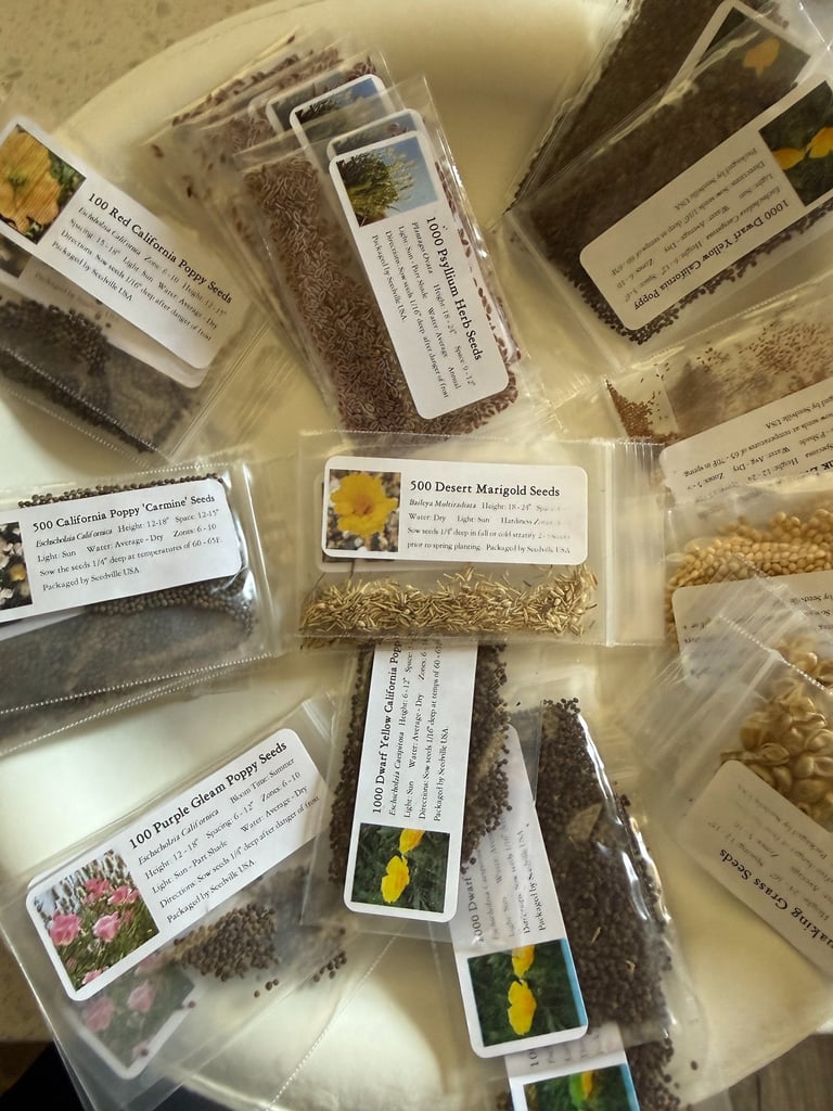 Various labeled seed packets including California Poppy and Desert Marigold for home gardening and planting.