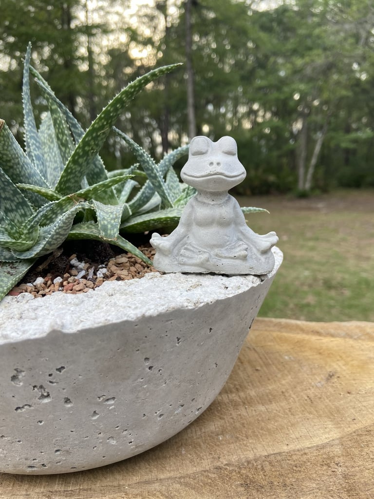 Aloe vera plant in a concrete planter with a small stone meditating frog statue sitting on the edge