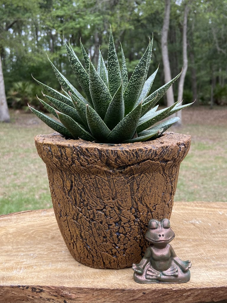 An aloe succulent in a textured brown pot next to a small yoga frog figurine.