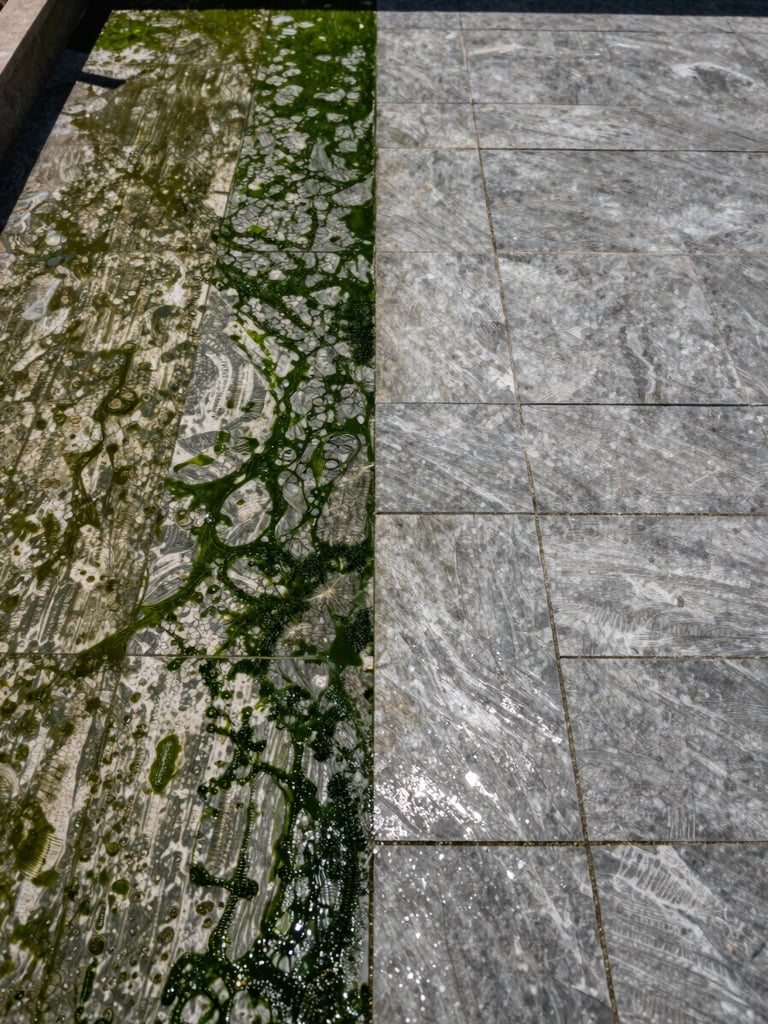 Wide environmental split-frame: left half shows a patio surface thick with dark green algae and weathered grime in harsh midday sun, right half shows the same stone gleaming clean and light-reflecting after high-pressure washing — sharp diagonal boundary between dirty and clean, no furniture, no people, full surface fill