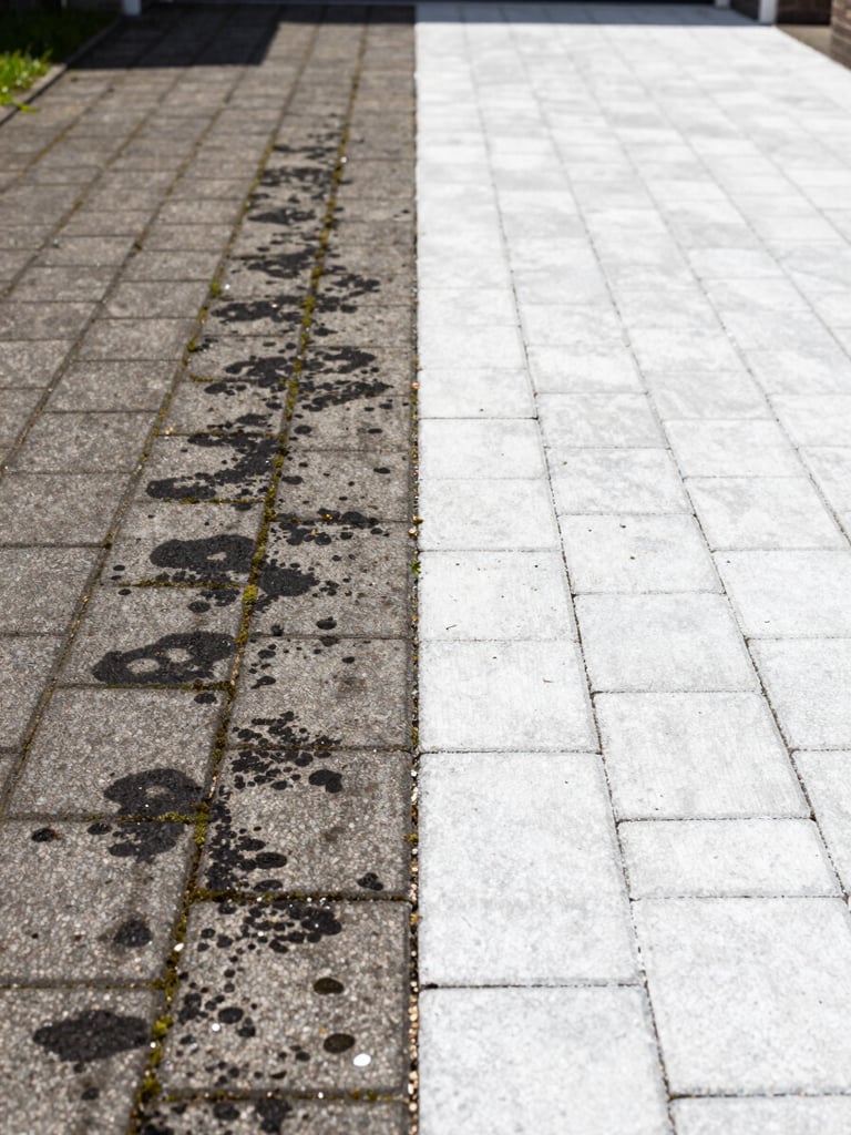 Wide split-view of a residential driveway in the Netherlands, left half showing grey concrete pavers heavily stained with black algae and green moss, right half showing the same pavers freshly cleaned to bright near-white under midday sun, sharp dividing line down the centre, ground-level angle, no people or furniture