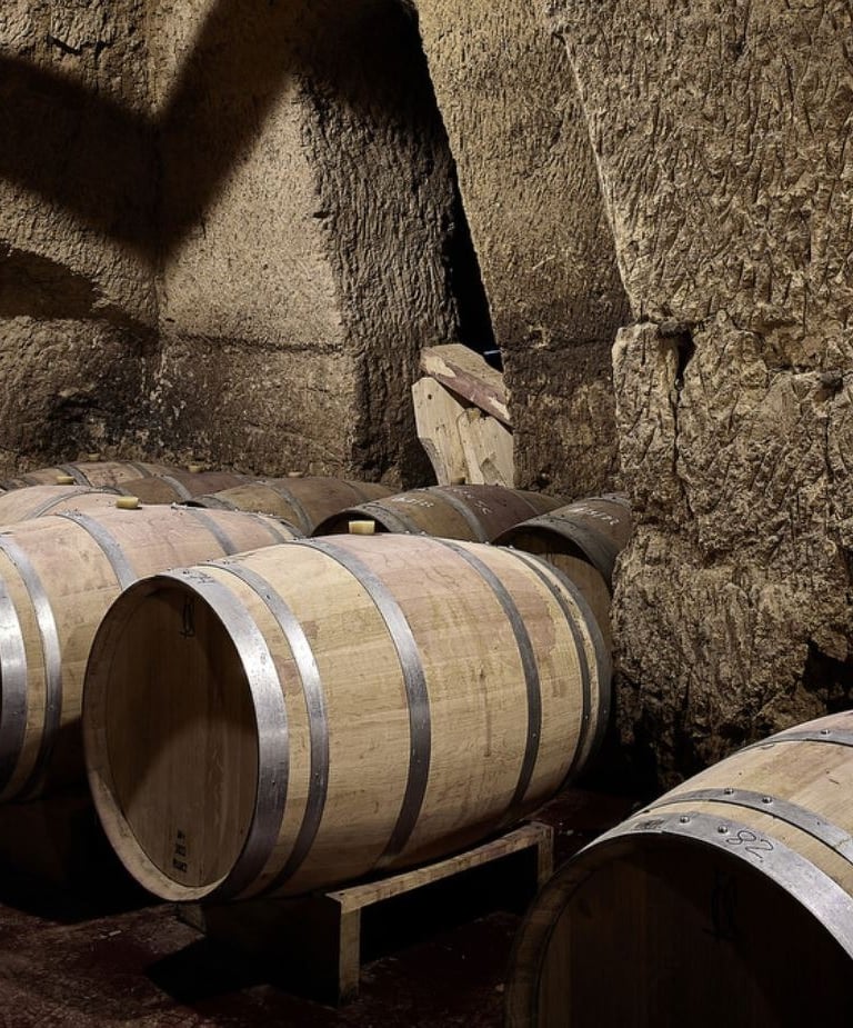 bodega belote