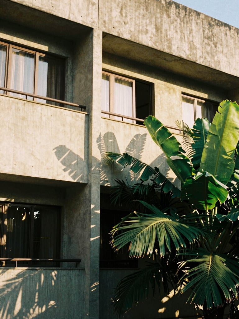 Architectural details of Maputo, warm late-afternoon sun hitting a concrete modernist facade with lush green tropical leaves casting shadows, 35mm