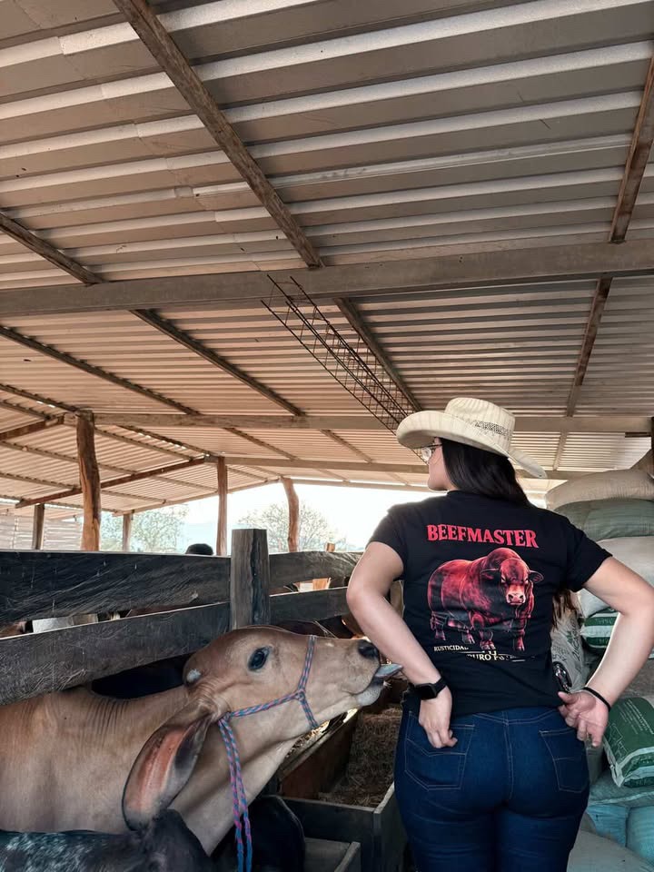 Woman in a Beefmaster t-shirt standing near a light brown calf in a rustic cattle barn.