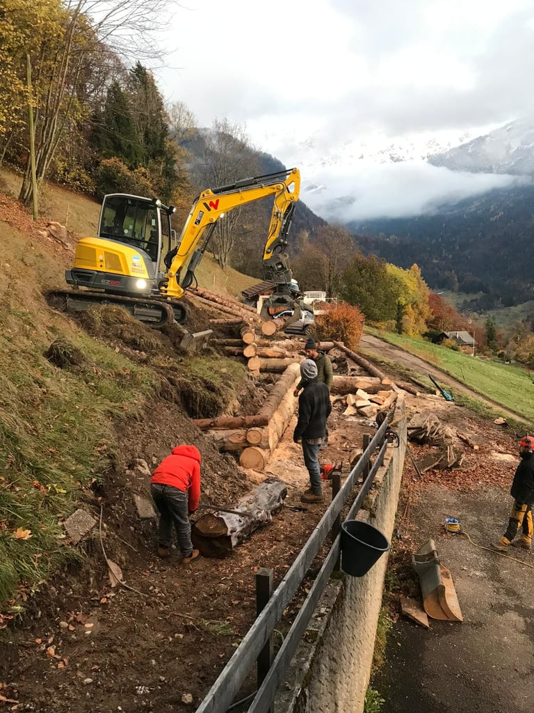 travaux exterieur, bois, tractopele