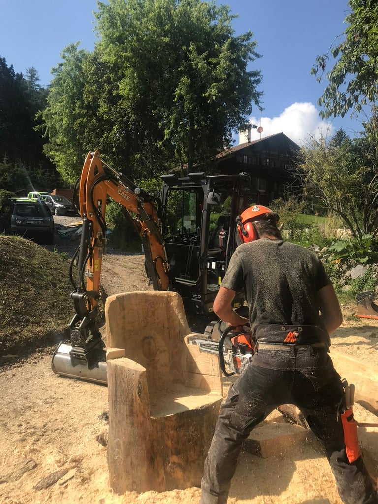 tronçonneuse et coupe de bois